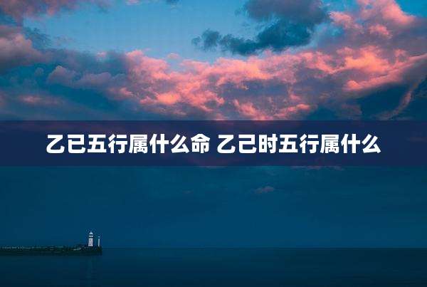 乙已五行属什么命 乙己时五行属什么
