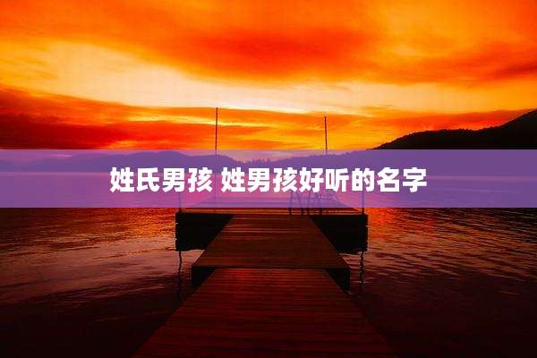 姓氏男孩 姓男孩好听的名字