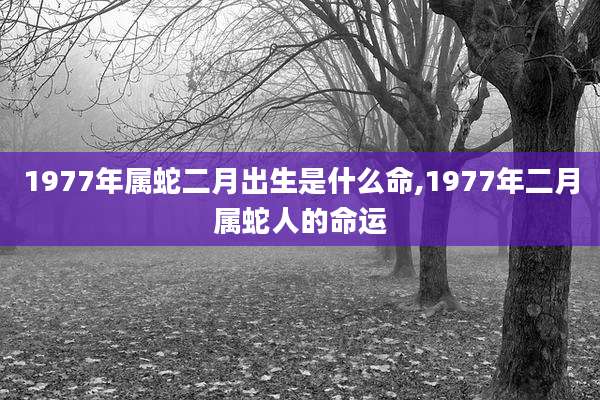1977年属蛇二月出生是什么命,1977年二月属蛇人的命运