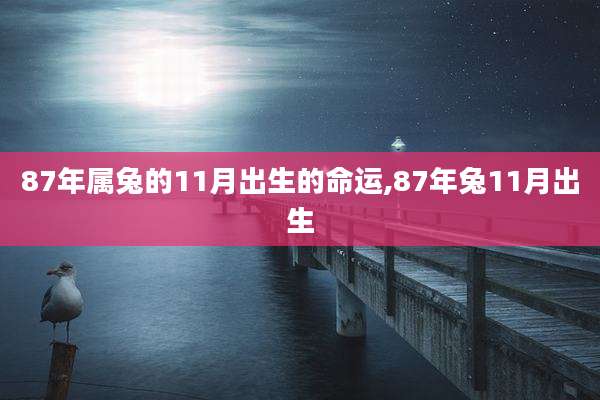 87年属兔的11月出生的命运,87年兔11月出生