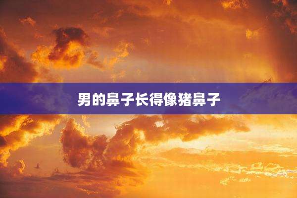 男的鼻子长得像猪鼻子