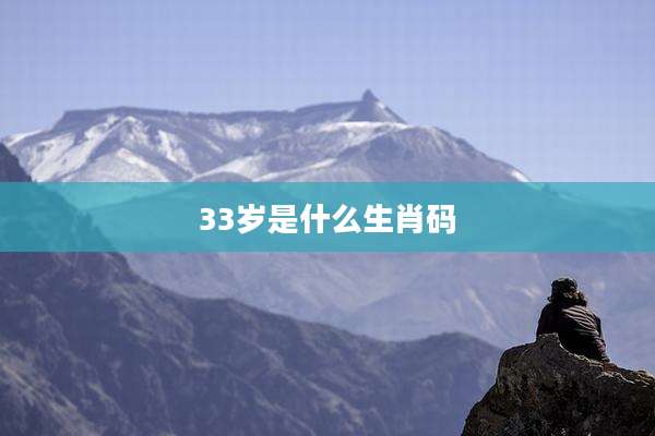 33岁是什么生肖码