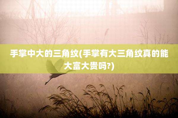手掌中大的三角纹(手掌有大三角纹真的能大富大贵吗?)