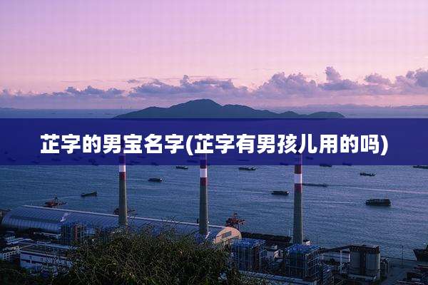 芷字的男宝名字(芷字有男孩儿用的吗)