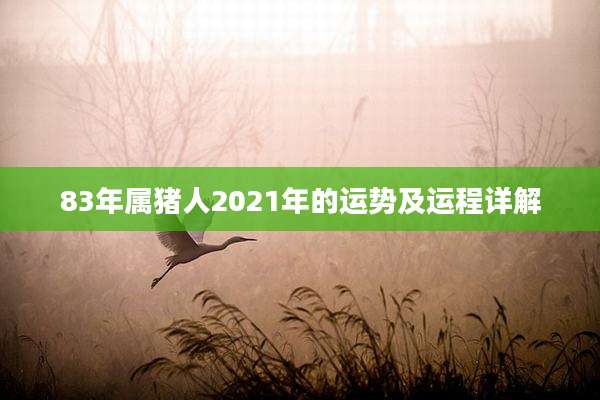 83年属猪人2021年的运势及运程详解