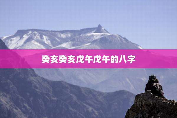 癸亥癸亥戊午戊午的八字