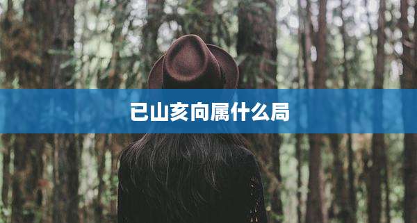 已山亥向属什么局