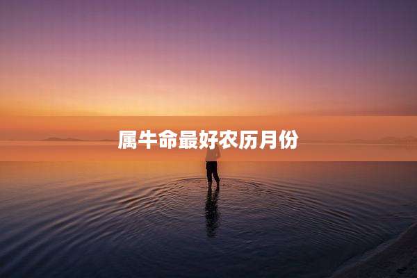 属牛命最好农历月份