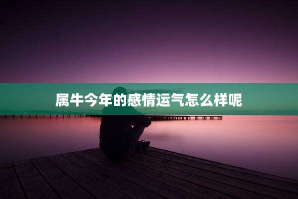 属牛今年的感情运气怎么样呢