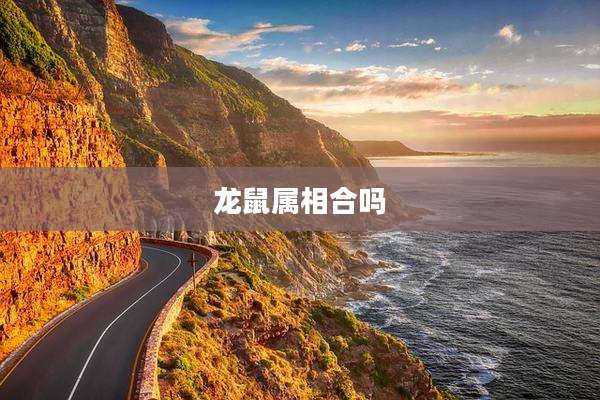 龙鼠属相合吗