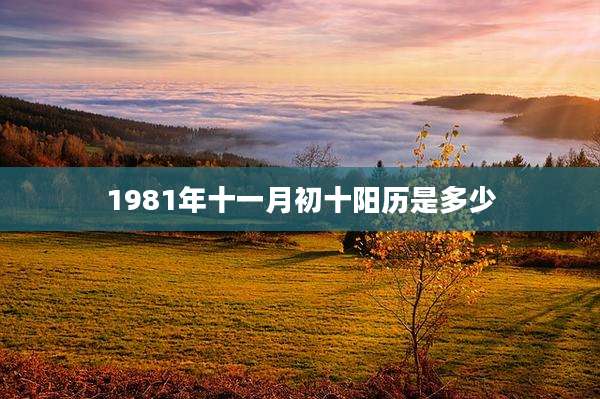 1981年十一月初十阳历是多少