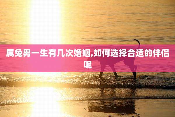 属兔男一生有几次婚姻,如何选择合适的伴侣呢