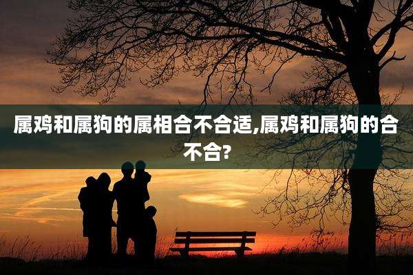 属鸡和属狗的属相合不合适,属鸡和属狗的合不合?