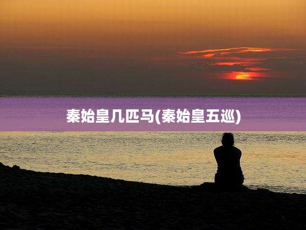 秦始皇几匹马(秦始皇五巡)