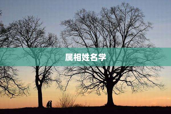 属相姓名学