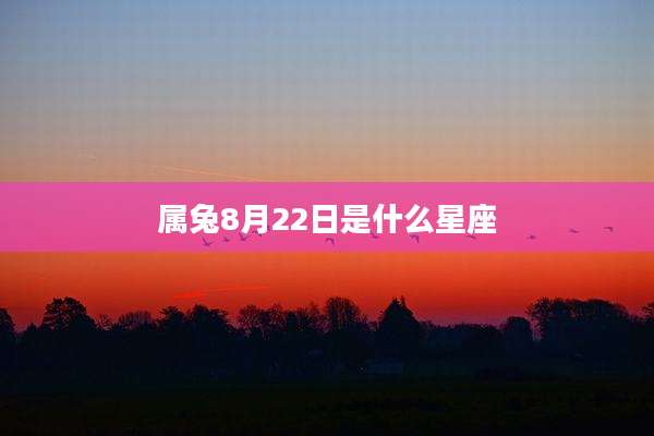 属兔8月22日是什么星座