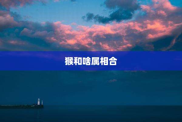 猴和啥属相合