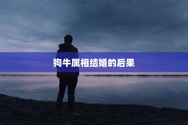 狗牛属相结婚的后果