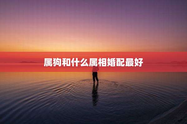 属狗和什么属相婚配最好