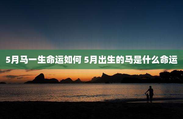 5月马一生命运如何 5月出生的马是什么命运