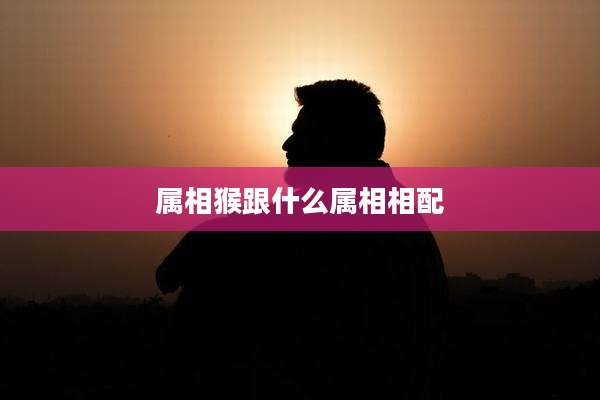 属相猴跟什么属相相配