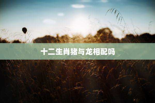 十二生肖猪与龙相配吗