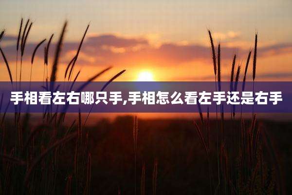 手相看左右哪只手,手相怎么看左手还是右手