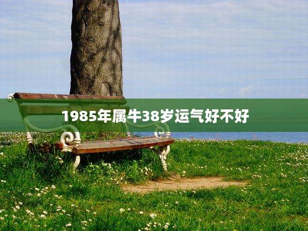 1985年属牛38岁运气好不好