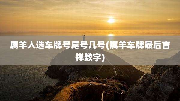 属羊人选车牌号尾号几号(属羊车牌最后吉祥数字)