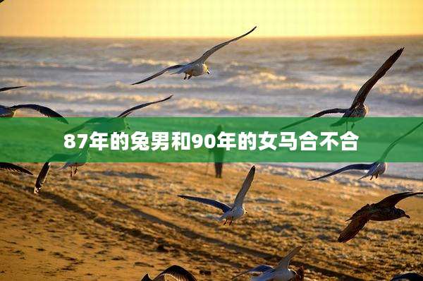 87年的兔男和90年的女马合不合