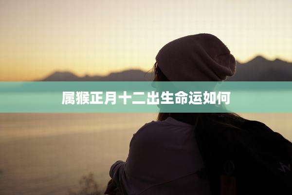 属猴正月十二出生命运如何