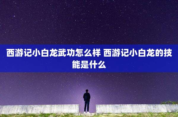 西游记小白龙武功怎么样 西游记小白龙的技能是什么