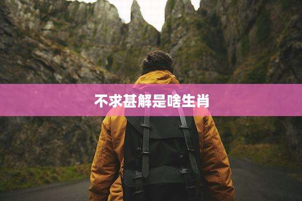 不求甚解是啥生肖