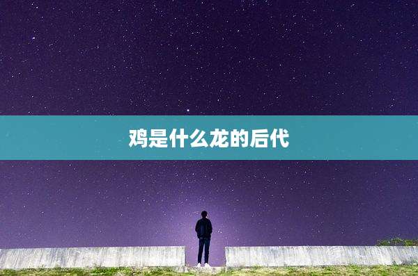 鸡是什么龙的后代