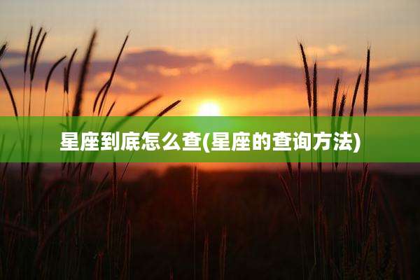星座到底怎么查(星座的查询方法)