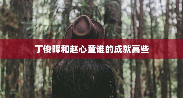 丁俊晖和赵心童谁的成就高些