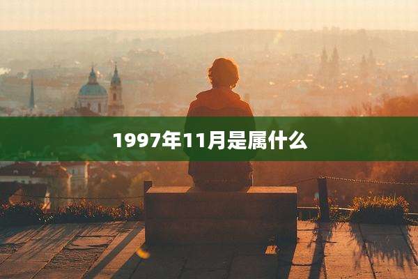 1997年11月是属什么