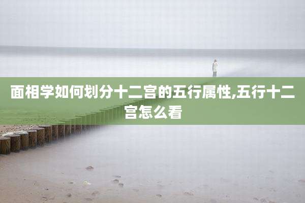 面相学如何划分十二宫的五行属性,五行十二宫怎么看