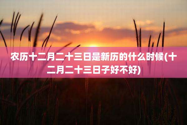 农历十二月二十三日是新历的什么时候(十二月二十三日子好不好)