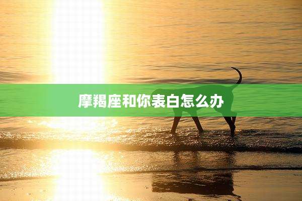 摩羯座和你表白怎么办