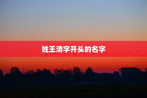 姓王清字开头的名字