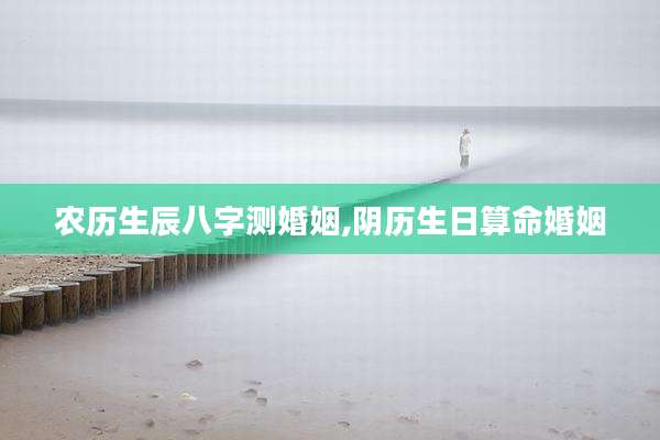 农历生辰八字测婚姻,阴历生日算命婚姻