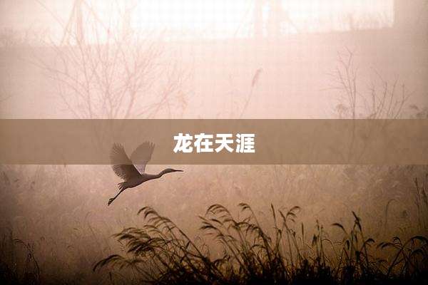 龙在天涯
