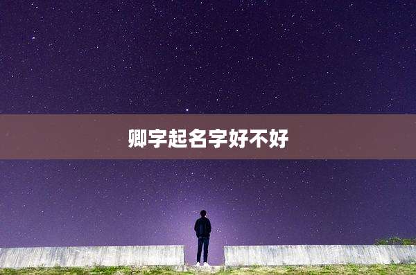 卿字起名字好不好
