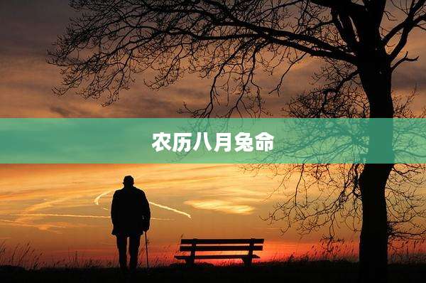 农历八月兔命