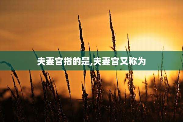 夫妻宫指的是,夫妻宫又称为