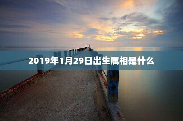 2019年1月29日出生属相是什么