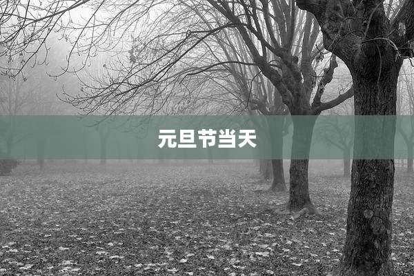元旦节当天