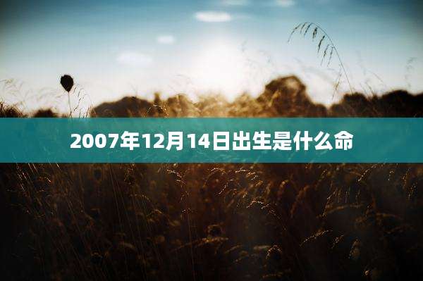 2007年12月14日出生是什么命