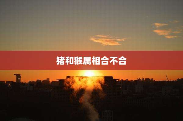 猪和猴属相合不合